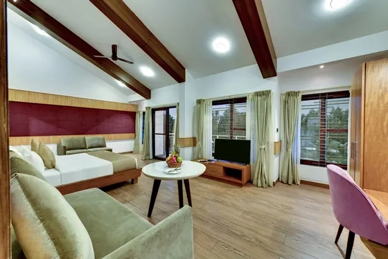 Suite Room photo 33