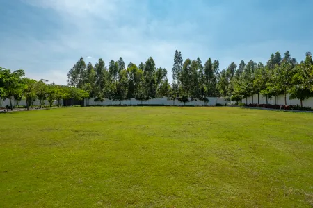 Aura open-air banquet lawn lined with trees